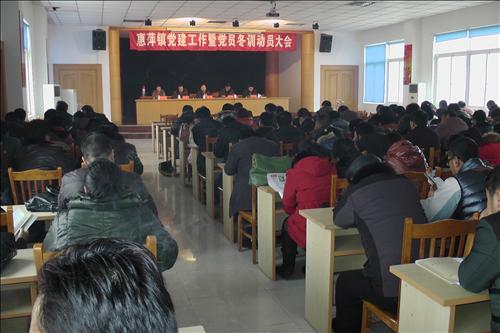 惠萍镇召开党建工作会议