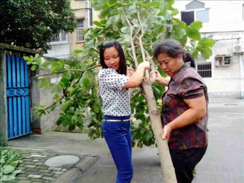 一花一早皆生命、一枝一叶总关情